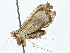  ( - BIOUG76553-B05)  @11 [ ] CreativeCommons - Attribution (2022) CBG Photography Group Centre for Biodiversity Genomics