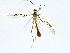  ( - BIOUG76553-B09)  @11 [ ] CreativeCommons - Attribution (2022) CBG Photography Group Centre for Biodiversity Genomics