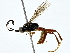  ( - BIOUG76553-D05)  @11 [ ] CreativeCommons - Attribution (2022) CBG Photography Group Centre for Biodiversity Genomics
