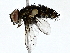  ( - BIOUG76553-H10)  @11 [ ] CreativeCommons - Attribution (2022) CBG Photography Group Centre for Biodiversity Genomics