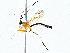  ( - BIOUG76554-B02)  @11 [ ] CreativeCommons - Attribution (2022) CBG Photography Group Centre for Biodiversity Genomics