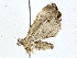  ( - BIOUG76554-E04)  @11 [ ] CreativeCommons - Attribution (2022) CBG Photography Group Centre for Biodiversity Genomics