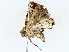  ( - BIOUG76554-F08)  @11 [ ] CreativeCommons - Attribution (2022) CBG Photography Group Centre for Biodiversity Genomics