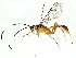  ( - BIOUG80127-F02)  @11 [ ] CreativeCommons - Attribution (2022) CBG Photography Group Centre for Biodiversity Genomics