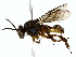  ( - BIOUG80127-F03)  @11 [ ] CreativeCommons - Attribution (2022) CBG Photography Group Centre for Biodiversity Genomics