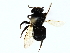  ( - BIOUG80127-F10)  @11 [ ] CreativeCommons - Attribution (2022) CBG Photography Group Centre for Biodiversity Genomics