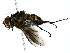  ( - BIOUG80140-C10)  @11 [ ] CreativeCommons - Attribution (2022) CBG Photography Group Centre for Biodiversity Genomics