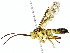  ( - BIOUG80140-E04)  @11 [ ] CreativeCommons - Attribution (2022) CBG Photography Group Centre for Biodiversity Genomics