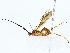  ( - BIOUG80140-E07)  @11 [ ] CreativeCommons - Attribution (2022) CBG Photography Group Centre for Biodiversity Genomics