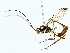  ( - BIOUG80140-F07)  @11 [ ] CreativeCommons - Attribution (2022) CBG Photography Group Centre for Biodiversity Genomics
