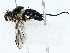  ( - BIOUG80140-G07)  @11 [ ] CreativeCommons - Attribution (2022) CBG Photography Group Centre for Biodiversity Genomics