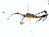  ( - BIOUG85479-E10)  @11 [ ] CreativeCommons - Attribution (2022) CBG Photography Group Centre for Biodiversity Genomics