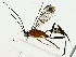  ( - BIOUG85481-A02)  @11 [ ] CreativeCommons - Attribution (2022) CBG Photography Group Centre for Biodiversity Genomics