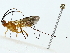  ( - BIOUG85481-A08)  @11 [ ] CreativeCommons - Attribution (2022) CBG Photography Group Centre for Biodiversity Genomics
