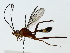  ( - BIOUG85481-A12)  @11 [ ] CreativeCommons - Attribution (2022) CBG Photography Group Centre for Biodiversity Genomics