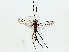  ( - BIOUG85481-C04)  @11 [ ] CreativeCommons - Attribution (2022) CBG Photography Group Centre for Biodiversity Genomics