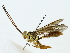  ( - BIOUG85481-D08)  @11 [ ] CreativeCommons - Attribution (2022) CBG Photography Group Centre for Biodiversity Genomics