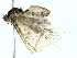  ( - BIOUG85489-A09)  @11 [ ] CreativeCommons - Attribution (2022) CBG Photography Group Centre for Biodiversity Genomics