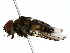  ( - BIOUG85489-D12)  @11 [ ] CreativeCommons - Attribution (2022) CBG Photography Group Centre for Biodiversity Genomics