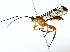  ( - BIOUG85489-G12)  @11 [ ] CreativeCommons - Attribution (2022) CBG Photography Group Centre for Biodiversity Genomics