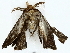  ( - BIOUG85490-D05)  @11 [ ] CreativeCommons - Attribution (2022) CBG Photography Group Centre for Biodiversity Genomics