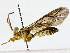  ( - BIOUG85490-G02)  @11 [ ] CreativeCommons - Attribution (2022) CBG Photography Group Centre for Biodiversity Genomics