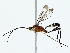  ( - BIOUG85469-C05)  @11 [ ] CreativeCommons - Attribution (2022) CBG Photography Group Centre for Biodiversity Genomics