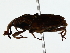  ( - BIOUG85469-F03)  @11 [ ] CreativeCommons - Attribution (2022) CBG Photography Group Centre for Biodiversity Genomics