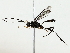  ( - BIOUG85469-H06)  @11 [ ] CreativeCommons - Attribution (2022) CBG Photography Group Centre for Biodiversity Genomics