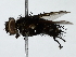  ( - BIOUG85470-G12)  @11 [ ] CreativeCommons - Attribution (2022) CBG Photography Group Centre for Biodiversity Genomics