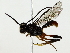  ( - BIOUG85470-H07)  @11 [ ] CreativeCommons - Attribution (2022) CBG Photography Group Centre for Biodiversity Genomics