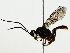  ( - BIOUG85470-H08)  @11 [ ] CreativeCommons - Attribution (2022) CBG Photography Group Centre for Biodiversity Genomics