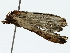  ( - BIOUG85482-A07)  @11 [ ] CreativeCommons - Attribution (2022) CBG Photography Group Centre for Biodiversity Genomics