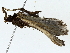  ( - BIOUG85482-A09)  @11 [ ] CreativeCommons - Attribution (2022) CBG Photography Group Centre for Biodiversity Genomics