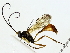  ( - BIOUG85482-D06)  @11 [ ] CreativeCommons - Attribution (2022) CBG Photography Group Centre for Biodiversity Genomics