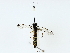  (ichMalaise01 Malaise7522 - BIOUG85483-A09)  @11 [ ] CreativeCommons - Attribution (2022) CBG Photography Group Centre for Biodiversity Genomics