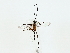  ( - BIOUG85483-B04)  @11 [ ] CreativeCommons - Attribution (2022) CBG Photography Group Centre for Biodiversity Genomics