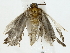  ( - BIOUG85483-C04)  @11 [ ] CreativeCommons - Attribution (2022) CBG Photography Group Centre for Biodiversity Genomics