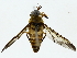  ( - BIOUG85483-D07)  @11 [ ] CreativeCommons - Attribution (2022) CBG Photography Group Centre for Biodiversity Genomics