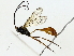  ( - BIOUG85483-E05)  @11 [ ] CreativeCommons - Attribution (2022) CBG Photography Group Centre for Biodiversity Genomics