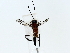  ( - BIOUG85491-E12)  @11 [ ] CreativeCommons - Attribution (2022) CBG Photography Group Centre for Biodiversity Genomics