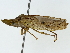  ( - BIOUG85492-B12)  @13 [ ] CreativeCommons - Attribution (2022) CBG Photography Group Centre for Biodiversity Genomics
