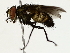  ( - BIOUG85493-A01)  @11 [ ] CreativeCommons - Attribution (2022) CBG Photography Group Centre for Biodiversity Genomics