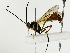  ( - BIOUG85493-F02)  @11 [ ] CreativeCommons - Attribution (2022) CBG Photography Group Centre for Biodiversity Genomics