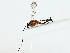  ( - BIOUG85493-F05)  @11 [ ] CreativeCommons - Attribution (2022) CBG Photography Group Centre for Biodiversity Genomics