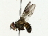  ( - BIOUG85509-C01)  @11 [ ] CreativeCommons - Attribution (2022) CBG Photography Group Centre for Biodiversity Genomics