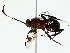  ( - BIOUG85509-H05)  @11 [ ] CreativeCommons - Attribution (2022) CBG Photography Group Centre for Biodiversity Genomics