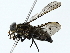  ( - BIOUG85510-E10)  @11 [ ] CreativeCommons - Attribution (2022) CBG Photography Group Centre for Biodiversity Genomics
