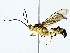 ( - BIOUG85510-G12)  @11 [ ] CreativeCommons - Attribution (2022) CBG Photography Group Centre for Biodiversity Genomics