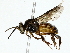  ( - BIOUG85510-H07)  @11 [ ] CreativeCommons - Attribution (2022) CBG Photography Group Centre for Biodiversity Genomics